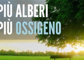 Ossigeno per Lazio Green, presentata la graduatoria della provincia di Viterbo del progetto