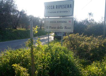 Un pomeriggio tra le rose con A.Ge, aspettando Serena Dandini