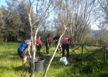 Un pomeriggio tra le rose con A.Ge, aspettando Serena Dandini