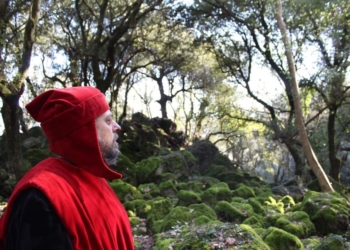 “Mi ritrovai in una selva oscura”, omaggio dantesco nel Bosco del Sasseto