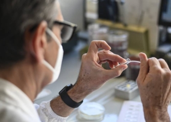 UniTus, il Miur assegna al Dibaf un finanziamento per ricerche biotecnologiche su immunità per Covid