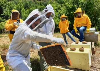 Concluse le attività del Corso di Apicoltura “Api & Bio 1/2021”