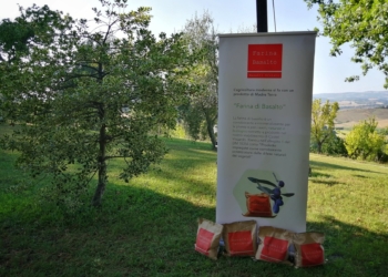 Come riparare il suolo agricolo e preservarne la fertilità, l’impegno della Basalti Orvieto Srl