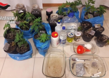 Porto abusivo di armi, produzione e traffico illecito di sostanze stupefacenti: denunciato un 41enne a Parrano