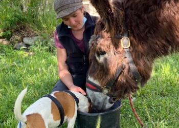 Bolsena ha ospitato la pellegrina francese Cindy Chopard in viaggio lungo la Via Francigena con Nanette e Mina