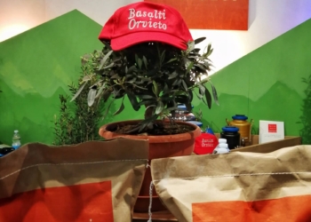 Come riparare il suolo agricolo e preservarne la fertilità, l’impegno della Basalti Orvieto Srl