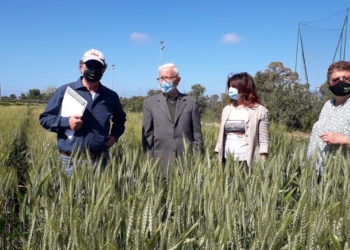 Sopralluogo degli studenti di agraria per filiera cerealicola del BioDistretto Maremma Etrusca e Monti della Tolfa