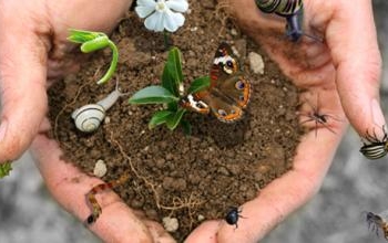 Giornata mondiale biodiversità: la Regione Umbria investe in tutela e valorizzazione e ora punta a nuovi traguardi con il progetto life imagine