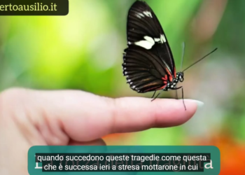 La Forza della fragilità: 3 suggerimenti per trasformare la tua fragilità in forza d’animo