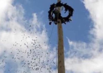 La “festa del maggio” di Castel Giorgio inserita nelle feste dei “maggi” in Europa