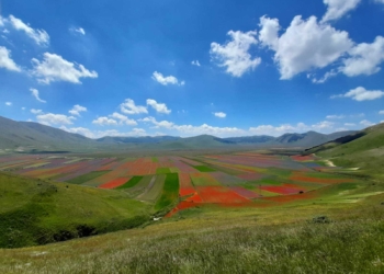 Fioritura di Castelluccio: la posizione del Parco Nazionale dei Monti Sibillini