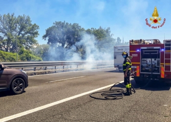 Spartitraffico in fiamme lungo l’autostrada, intervento dei Vvff