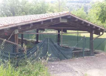 “Prendersi cura”