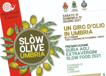 Slow Food presenta la Guida agli Extravergini. Appuntamento a Todi, Lugnano in Teverina e Trevi