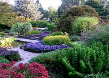 Orto Botanico Unitus inaugura 10 anni di restauro ecologico per la Giornata Mondiale dell’Ambiente