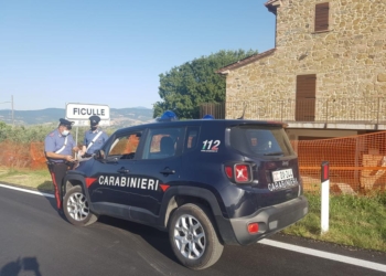 Blitz dei carabinieri a casa di un ficullese di 43 anni, trovato in possesso di 1,5 kg di marijuana