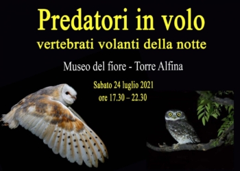 “Alla scoperta dei rapaci diurni e notturni”, nuovo suggestivo evento aquesiano