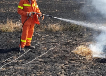 San Venanzo, emanata l’ordinanza anti incendi boschivi. In vigore fino al 30 settembre