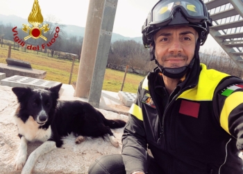 Il Border Collie Lucy entra a far parte dei Vigili del Fuoco di Terni