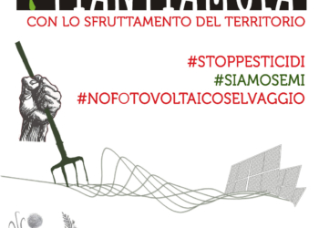 “Piantiamola!”, appuntamento in Piazza con la Comunità Rurale Diffusa per rimettere al centro il territorio