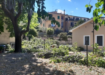 Taglio alberi presso area Stazione ferroviaria, il Comune: “Rfi si è occupata dell’intervento. La proprietà dovrà reimpiantare altre specie”