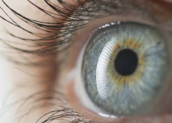 “La prevenzione non va in vacanza”: la sezione di Terni dell’Uici promuove visite oculistiche gratuite