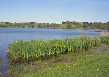 Un rave party, un lago e il suo biodistretto