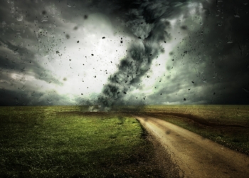 Cambiamenti climatici, il contributo di Basalti Orvieto e Farina di Basalto® per la riduzione delle emissioni di Co2