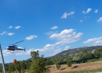 Incendio nei boschi di Cannicella, in azione i vigili del fuoco