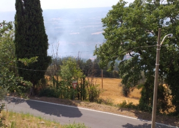 Oliveto in fumo nel Comune di Montecchio