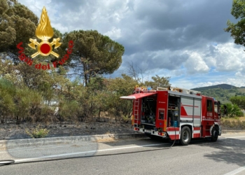 Nuovo intervento dei Vvff per un incendio, le fiamme lambiscono il Parco dei Sette Frati