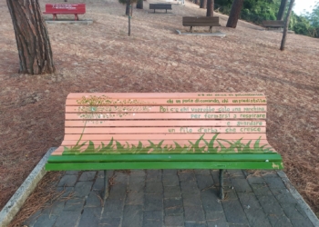 Soffioni, cuori e fili d’erba. Installata una nuova panchina artistica al Parco del Pinaro. Il progetto si estende anche a Monterubiaglio