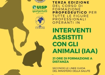 Terza tranche del Corso IAA al Csco, iscrizioni aperte fino all’8 ottobre