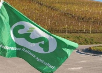 Tracciato Complanare, la denuncia di Cia Agricoltori: “Così spariscono decine di aziende agricole e si cancella un terreno fertile”