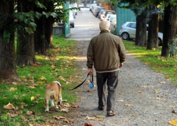 Ordinanza sindacale sulla conduzione di cani in spazi e parchi pubblici