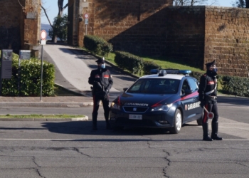 Sradica le piante dai vasi all’ingresso di una gioielleria, denunciato studente di 23 anni. Tardani: “Il sistema di videosorveglianza è efficace”