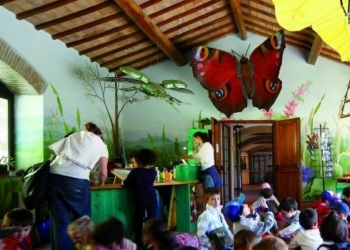 “Biodiversamente qui: percorsi di sostenibilità ad Acquapendente e dintorni” a cura del Museo del Fiore