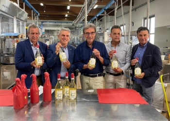 Nasce dalla sintesi tra fede, storia e tradizione: è “Papabile”, un nuovo Orvieto Classico firmato Riccardo Cotarella