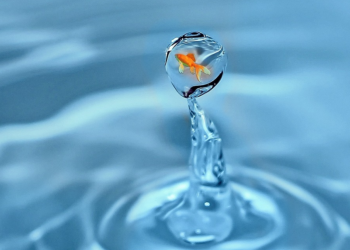 E guardo il mondo da un oblò, la mia esperienza personale con il Covid