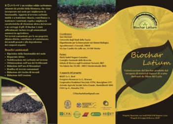 Giornata formativa all’Unitus sul biochar e il recupero dei materiali legnosi di scarto