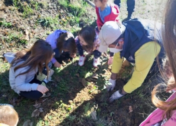 “Un albero per il futuro”, una giornata con i bambini er festeggiare la giornata nazionale degli alberi