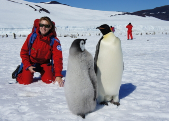Al via la 37° Spedizione italiana del Programma Nazionale di Ricerche in Antartide (PNRA)