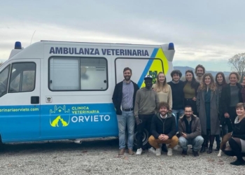 Finalmente un’ambulanza veterinaria anche a Orvieto!