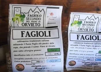 I soci della associazione “Il Fagiolo Secondo del Piano di Orvieto”: “A proposito di idiozie Socio-Politiche”