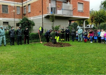 Festa dell’albero alla scuola Primaria di Orvieto scalo, bambini assistono alla messa in posa di un leccio