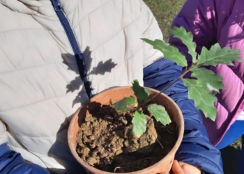 Parrano, celebrate Giornate alberi e infanzia