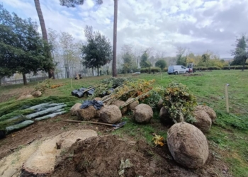 Prosegue il lavoro di messa in sicurezza e riqualificazione del Parco Pineta