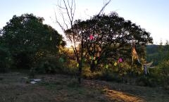 “Chi desidera vedere l’arcobaleno, deve imparare ad amare la pioggia – Percorsi di resilienza”