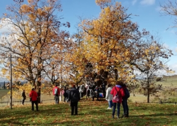 All’Icao di Fabro “Sport senza barriere. Integrazione, inclusione e rinascita attraverso lo sport”