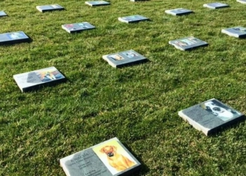 Cimitero per animali da affezione, approvata mozione del consigliere Tempesta